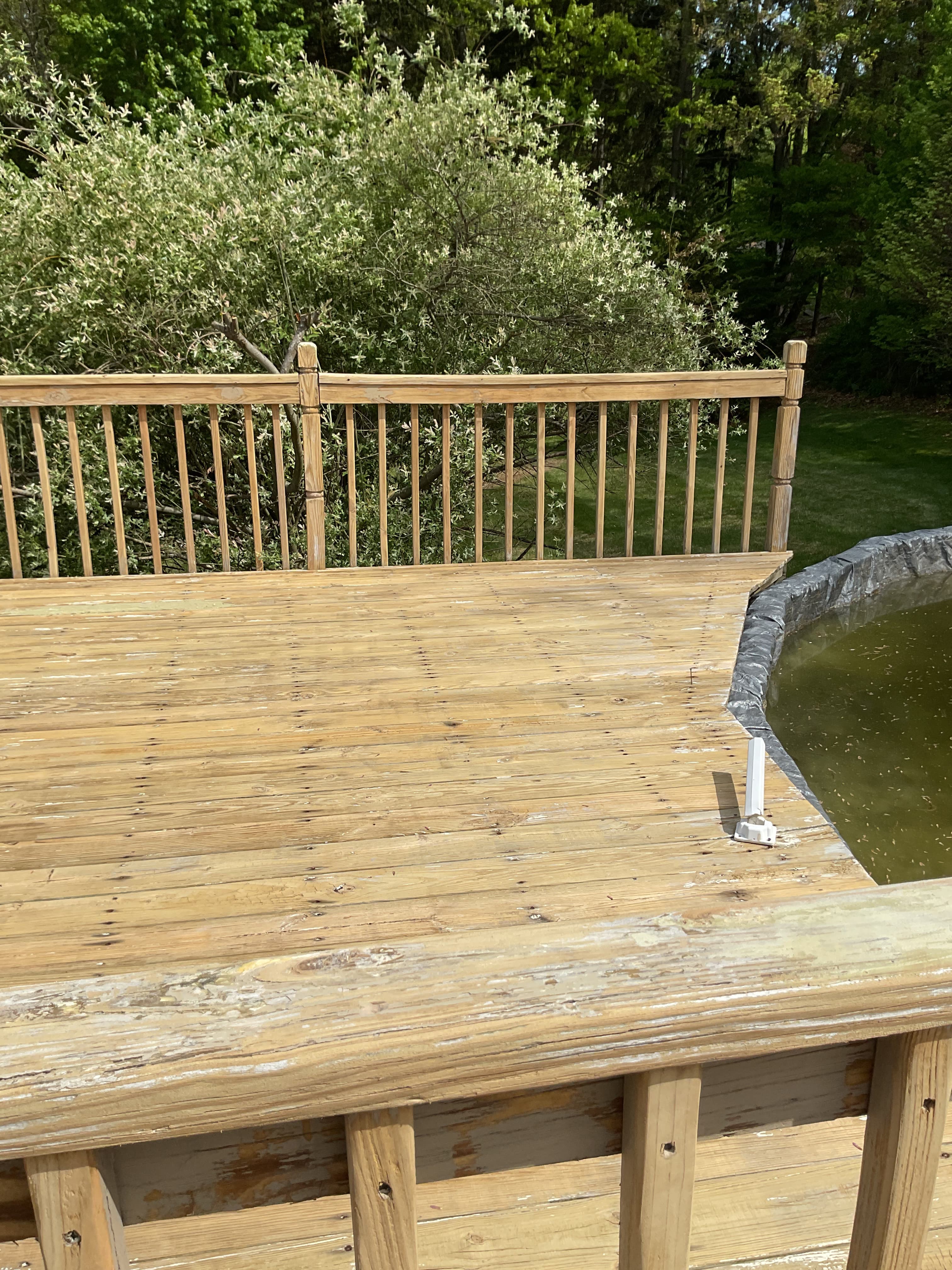 Pool Deck — Before